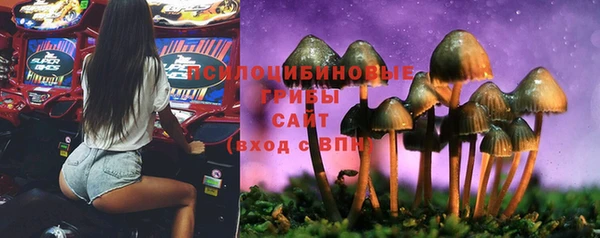 сатива Алексин