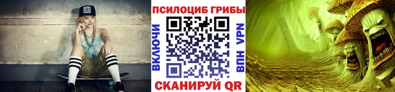 где найти   Кимры  Галлюциногенные грибы Psilocybine cubensis 