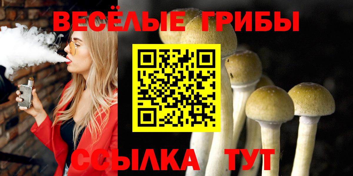 Кимры  Псилоцибиновые грибы MAGIC MUSHROOMS  Псилоцибиновые грибы мицелий  Вход с VPN 