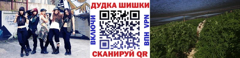 Бошки марихуана семена  Кимры 
